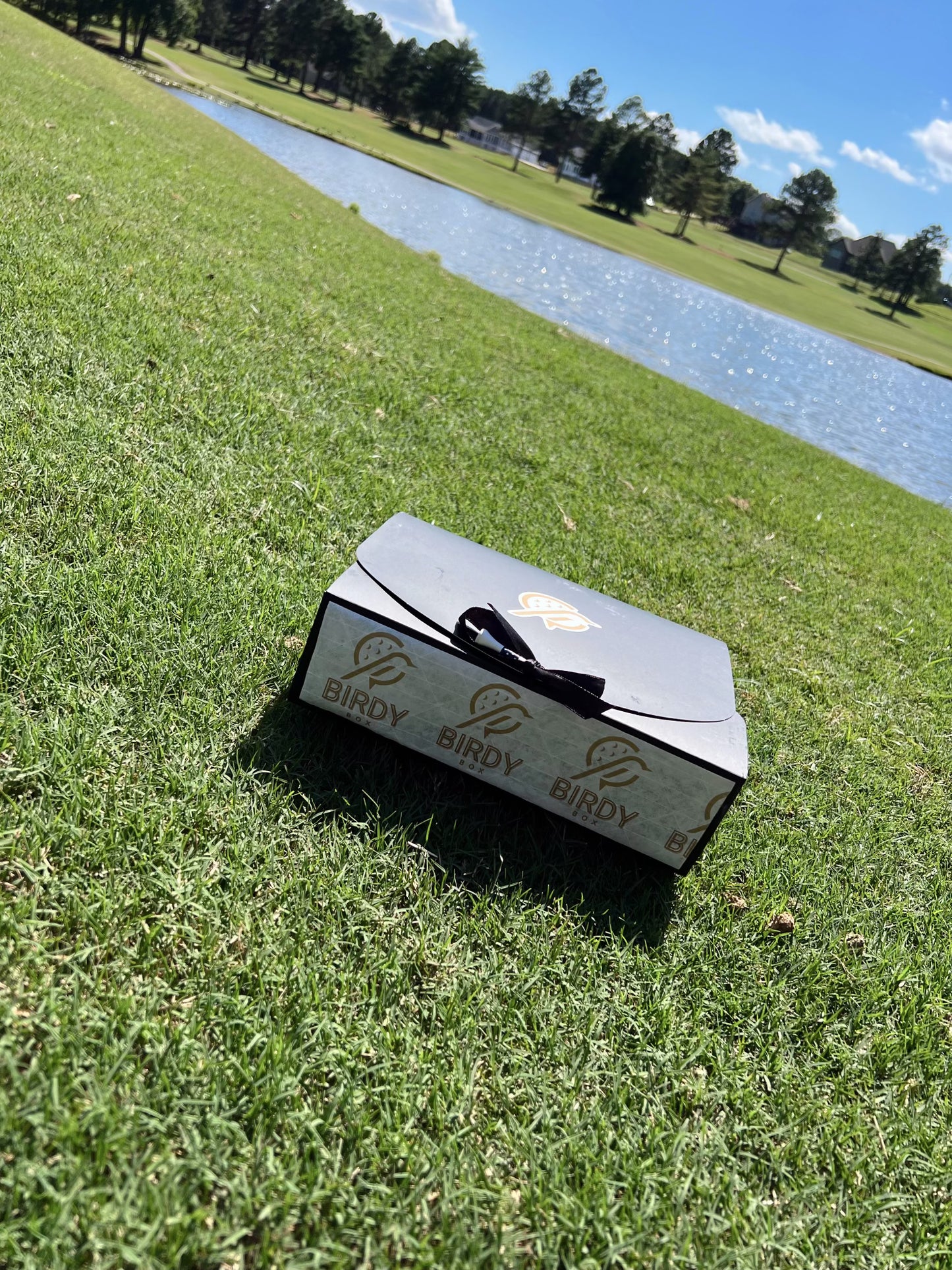 Promo Box